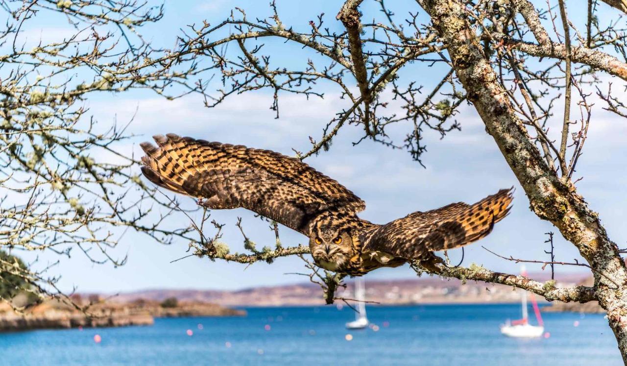 Shieldaig Lodge Hotel ゲイロック エクステリア 写真